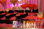 The Party Planner | Special event planning in Montreal | PRETTY IN PINK BAT MITZVAH | Event Planners based in Montreal & serving Montreal, Quebec & abroad offering Wedding event planning, corporate event planning, Bar Mitzvahs & more.